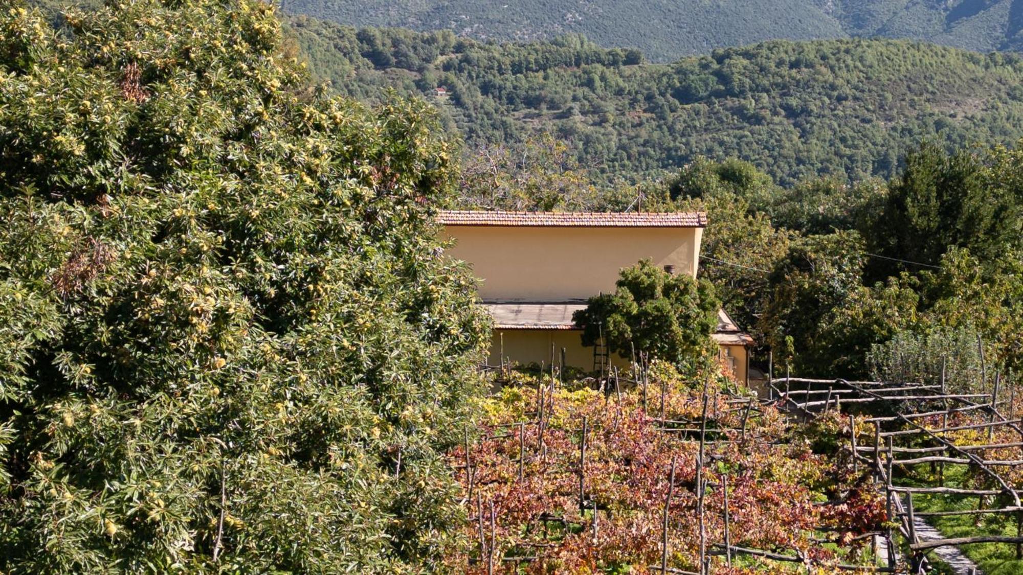 Villa Casa Giordano à Tramonti Extérieur photo