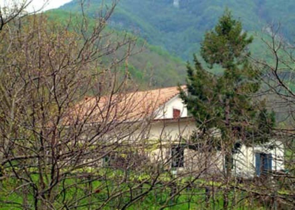 Villa Casa Giordano à Tramonti Extérieur photo